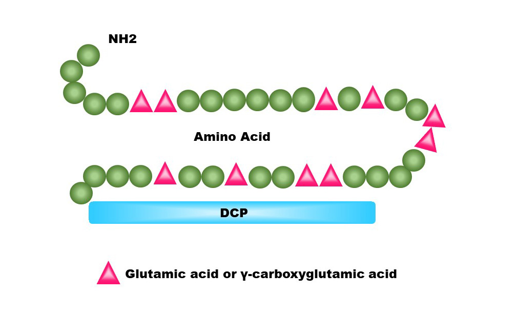 ff_dcp_molecule